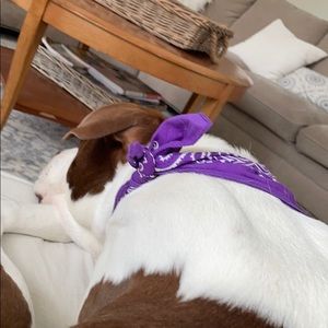 Meet your Posher, Tyler